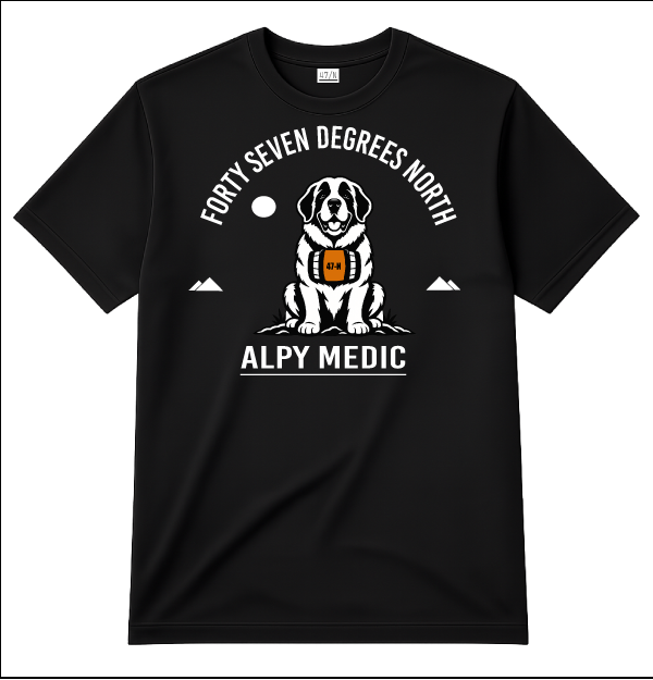 Unisex garment-dyed heavyweight t-shirt